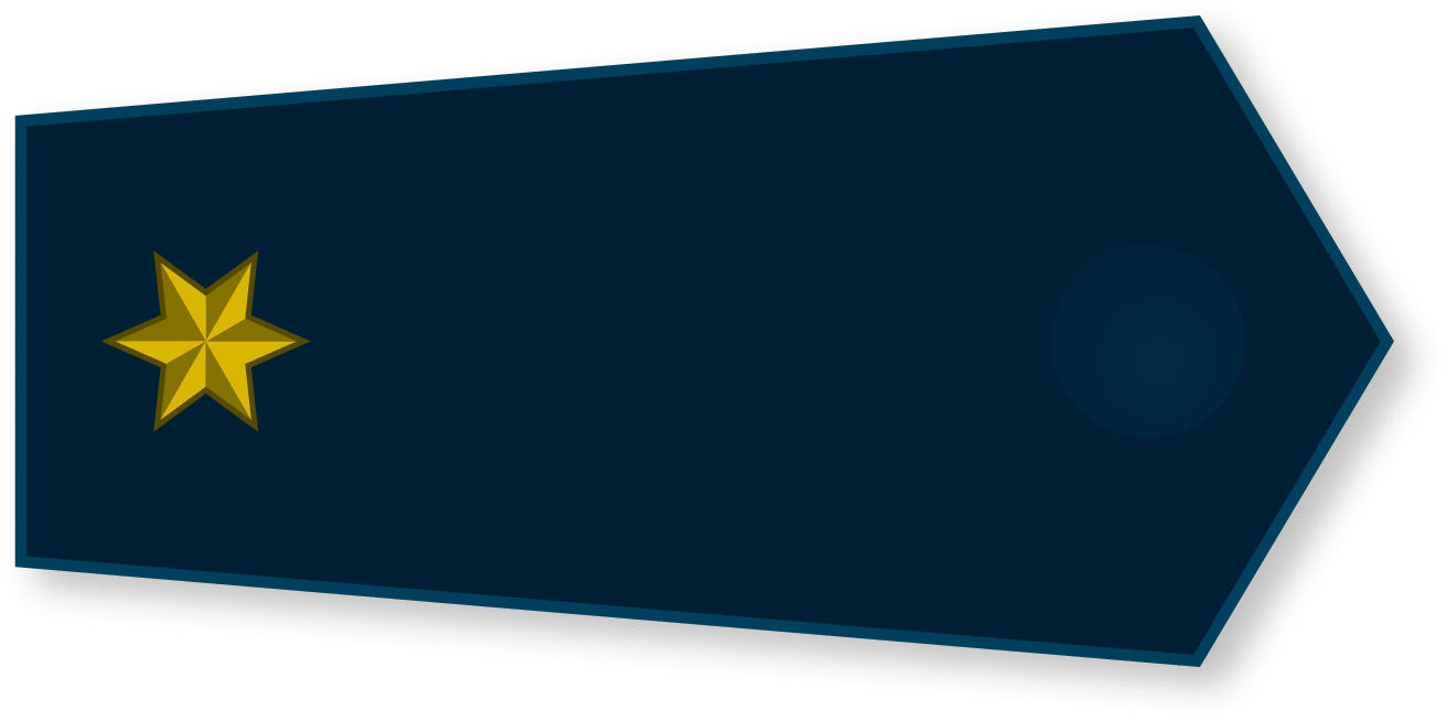 Schulterklappe höherer Dienst